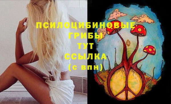 скорость mdpv Новодвинск