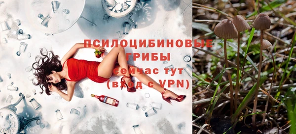 экстази Новозыбков